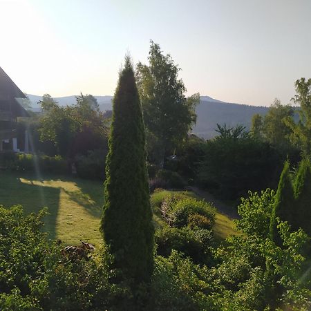 Apratman Julie - Bavorska Ruda Apartman Bayerisch Eisenstein Kültér fotó