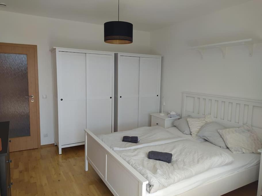 Apratman Julie - Bavorska Ruda Apartman Bayerisch Eisenstein Kültér fotó