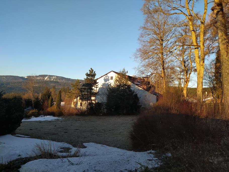 Apratman Julie - Bavorska Ruda Apartman Bayerisch Eisenstein Kültér fotó